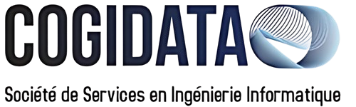 Cogidata_2_png-removebg-preview
