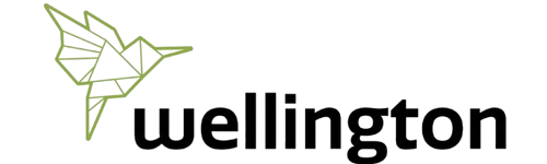 Wellington-removebg-preview
